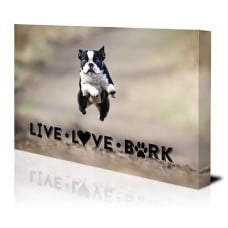 Live Love Bark Canvas Print