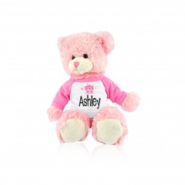Pink Teddy with Pink Shirt