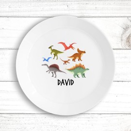 Dinosaur Kids Plate